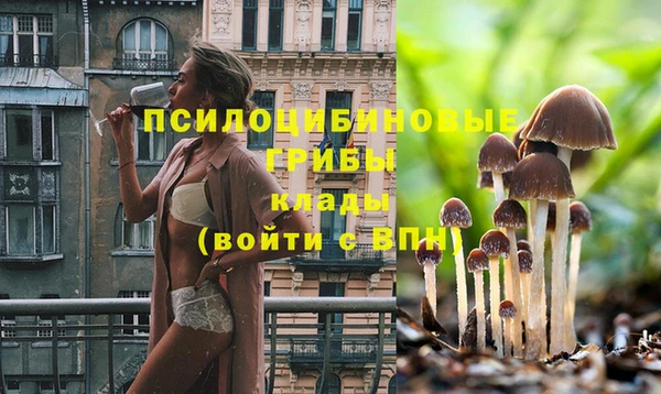 первитин Абинск