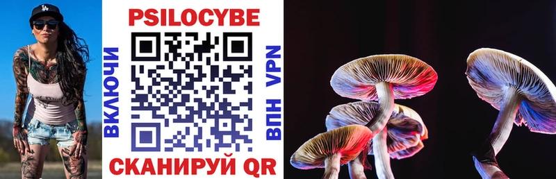 Псилоцибиновые грибы Magic Shrooms  MEGA онион  Абаза 